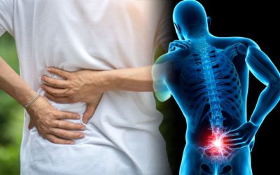 Low Back Pain- Do Not Fear!